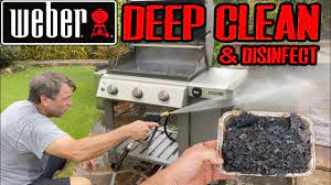 weber genesis grill filthy deep clean