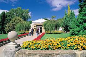 royal botanical gardens discover tasmania