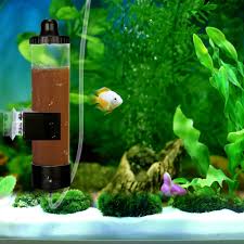 can fish eggs hatch successfully