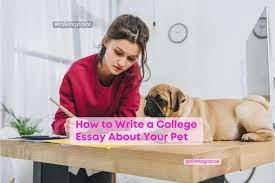 how to write a college essay about your pet