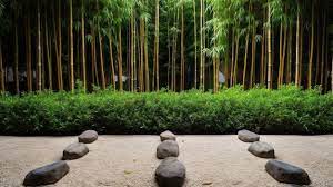 Zen Garden With A Bamboo Forest