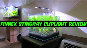 Finnex Stingray Cliplight Review 7 5g Planted Betta Cube