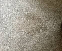coleman carpet cleaners