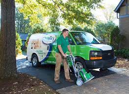 carpet cleaning fairfax city falls