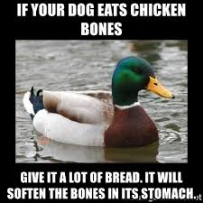 Image result for dogs and chicken bones meme