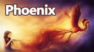 In asia the phoenix reigns over all the birds, and is the symbol of the chinese empress and feminine grace, as well as the sun and the south. Phoenix The Bird That Is Reborn From Ashes Mythological Bestiary 06 See U In History Youtube