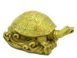 Tortoise And Its Direction In Vastu Shastra