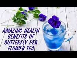 erfly pea flower tea blue ternate