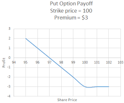 How To Calculate Payoffs To Option Positions Video