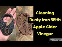 remove rust with apple cider vinegar