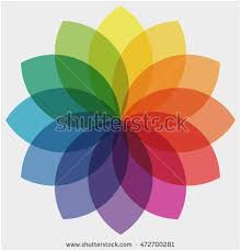 Flower Color Meanings Chart Awesome Flower Color Wheel Chart