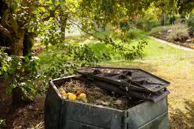 Complete Guide To Compost David Domoney