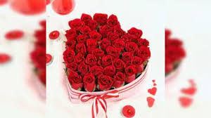 rose day 2023 date significance of
