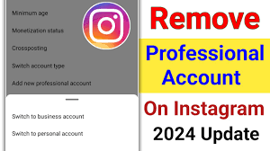 professional account on insram 2024