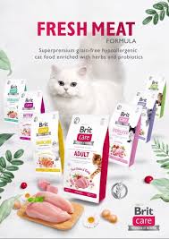 Hello, would you recommend me a suitable food for a young 6m. Social Pets Event Marketing New Brit Care Cat Fresh Meat Facebook