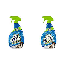 pet stain remover for carpet for 2023