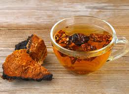 Buy Chaga Mushroom Online