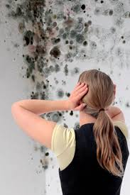 Ako odstrániť pleseň na stene