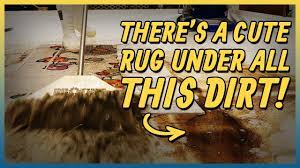 rug d from the dump