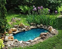 You can use duct tape to secure the pool liner in place. San Antonio Pool Builder Natural Pools In Texas Artscapes Pool Outdoor Concepts