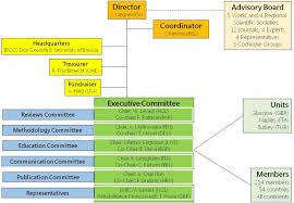 Organizational Chart Cochrane Rehabilitation