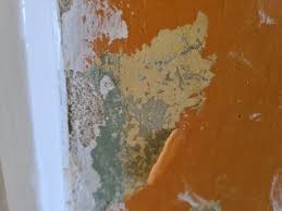 Old Paint New Plaster Removal