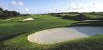 Indian River Preserve (Walkabout), Mims (Titusville), Florida ...