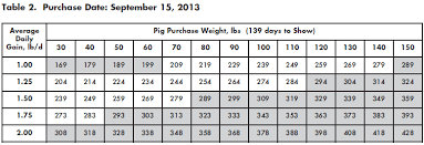 Guide To Determine What Weight Show Pig To Buy The Pig Site