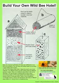 This post may contain affiliate links that help support this site at no additional cost to you. Build Your Own Bee Hotel National Geographic Society