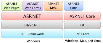asp net web programming