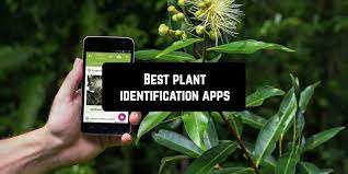 best app for plant identification