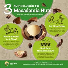level up your macadamia nut snacking