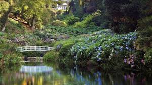 trebah garden top 100 attractions