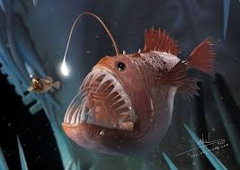 3d Angler Fish By Akin Vong In 2019 Fish Drawings Deep
