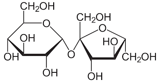 Sucrose Wikipedia