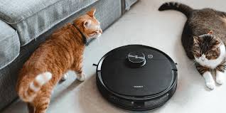 remove pet hair from carpet ecovacs