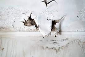 ceiling water damage repair cost