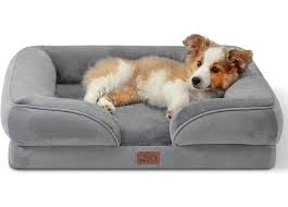 The Leading Dog Bed In 2023 Kansas