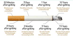 What Happens When You Quit Smoking Truth Inside Of You
