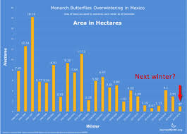 Monarch Butterfly Population In Mexico