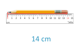 Measuring Centimetres Using a Ruler - Maths with Mum