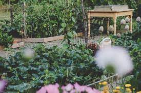 How To Install A Kitchen Garden The
