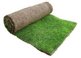 0 out of 5 stars, based on 0 reviews current price $12.68 $ 12. Lawn Grass Rolls Carpet Grass Rolls Artificial Grass Rolls