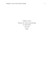Project Management Final Project Pdf Running Head