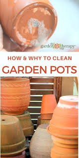 This hose pot can also be used to give a facelift to your indoor space by storing firewood, magazines, or blankets. How To Clean Garden Pots Properly