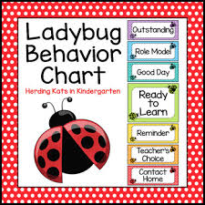 Ladybug Decor Behavior Clip Chart
