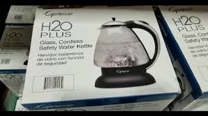capresso gl electric tea kettle