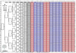 11 Generation Mega Sized Chart