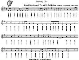 Galway Girl Sheet Music And Fingerings In 2019 Tin