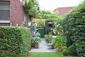 Screening plants cannot not only increase the privacy in your garden, they can make your garden appear larger. Best Screening Plants Hedges For Screening Instanthedge Blog